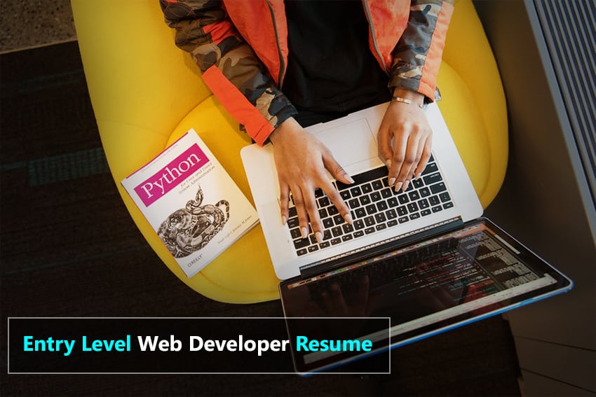 Entry Level Web Developer Resume