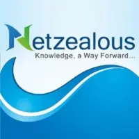 Netzealous Llc