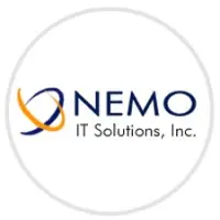 Nemo It Solutions, Inc 