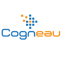 Cogneau Systems