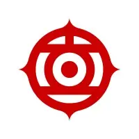 Hitachi Digital Services