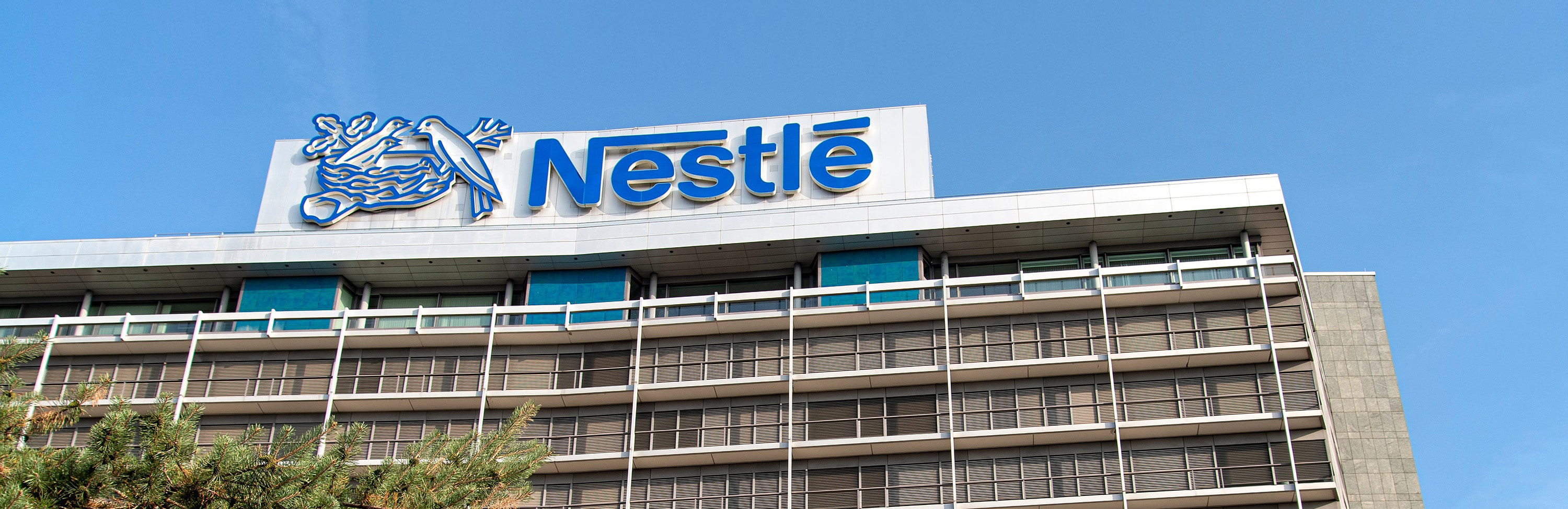 Nestle Internship Program