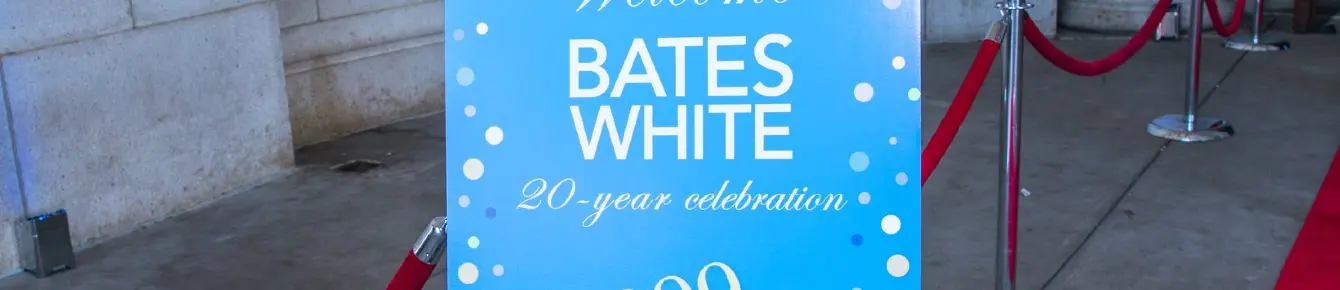 Bates White Internship Program